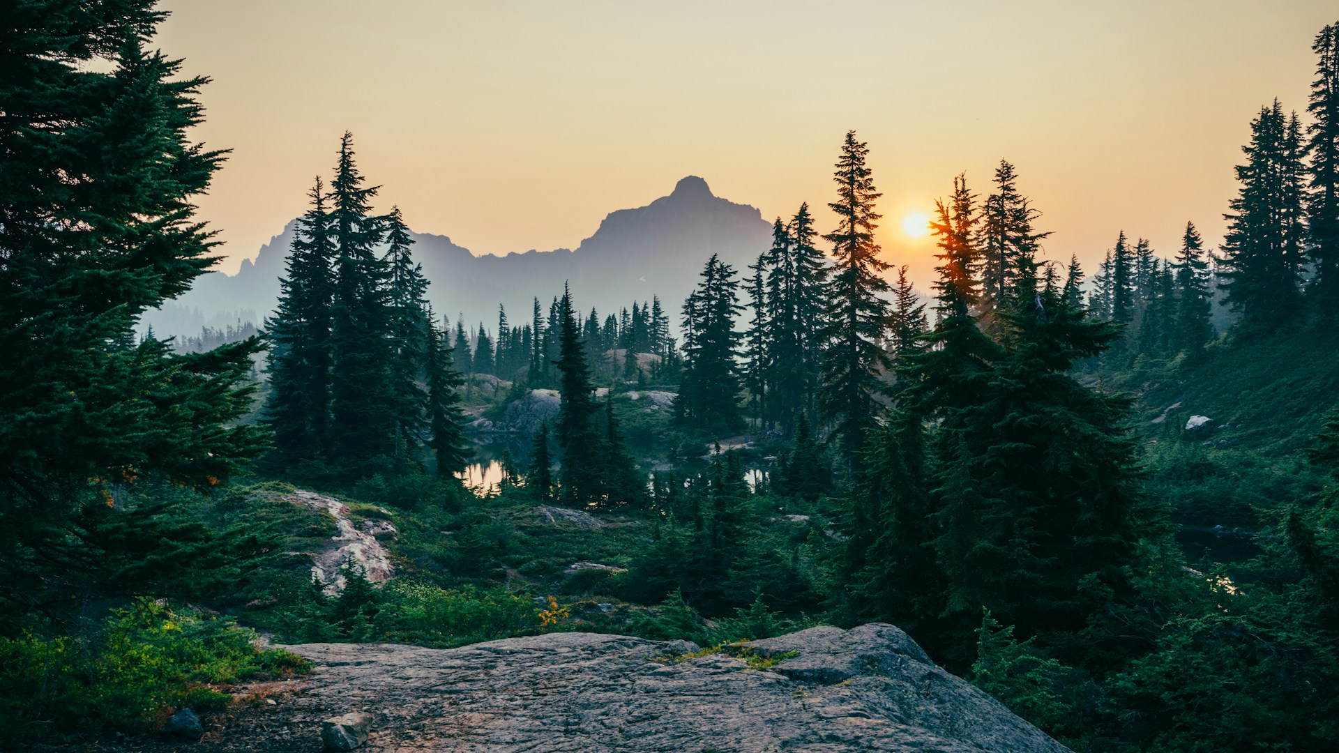 Evergreens on the far bank at last light